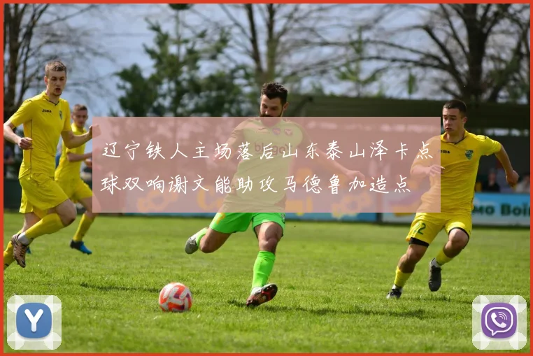 辽宁铁人主场落后山东泰山泽卡点球双响谢文能助攻马德鲁加造点